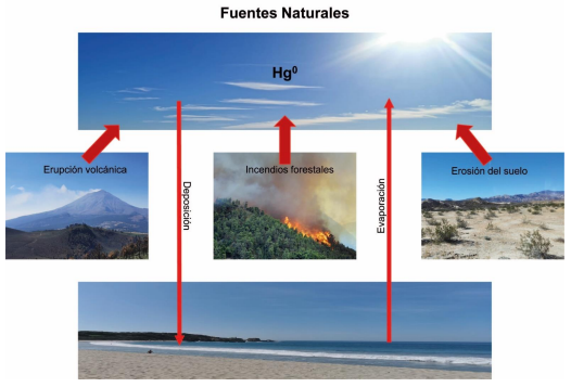 Principales fuentes naturales de contaminaci�n de Hg.