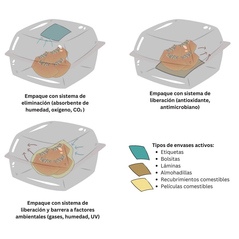 Tipos de envases activos y su principal función.