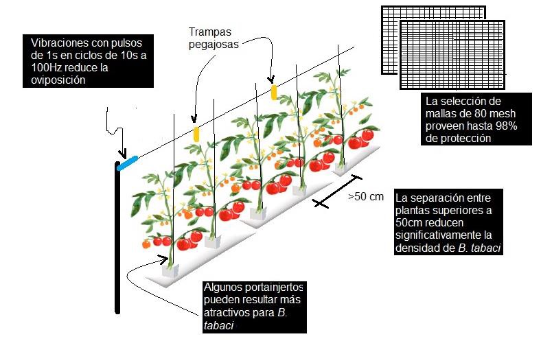 Estrategias de prevenci�n que actualmente se emplean en los cultivos agr�colas de invernadero y que reducen significativamente los problemas que provoca Bemisia tabaci (elaboraci�n propia). 