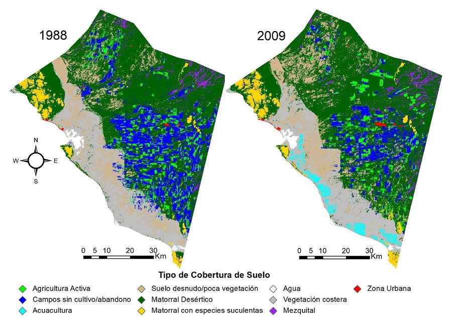 Clasificaciones de usos o coberturas de suelo en la Costa de Hermosillo, usando metodolog�as de percepci�n remota con im�genes del sensor Thematic Mapper (LANDSAT 4 y 5). A la izquierda se muestra la clasificaci�n para el a�o 1988 y a la derecha para el a�o 2009.