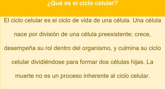 Definici�n de ciclo celular.