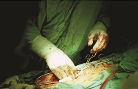 Conceptos Vitales (2002) 3/25