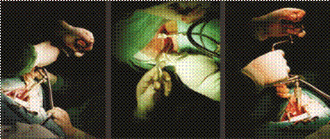 Conceptos Vitales (2002) 18/25