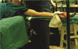 Conceptos Vitales (2002) 16/25