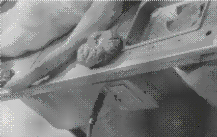 Existencia (2002) 11/20