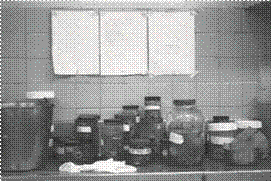 Existencia (2002) 7/20