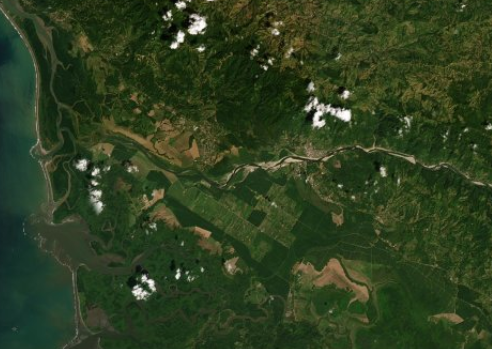 Paisaje geográfico. Fotografía aérea que muestra la presión del agro sobre el ecosistema del Humedal Térraba-Sierpe.