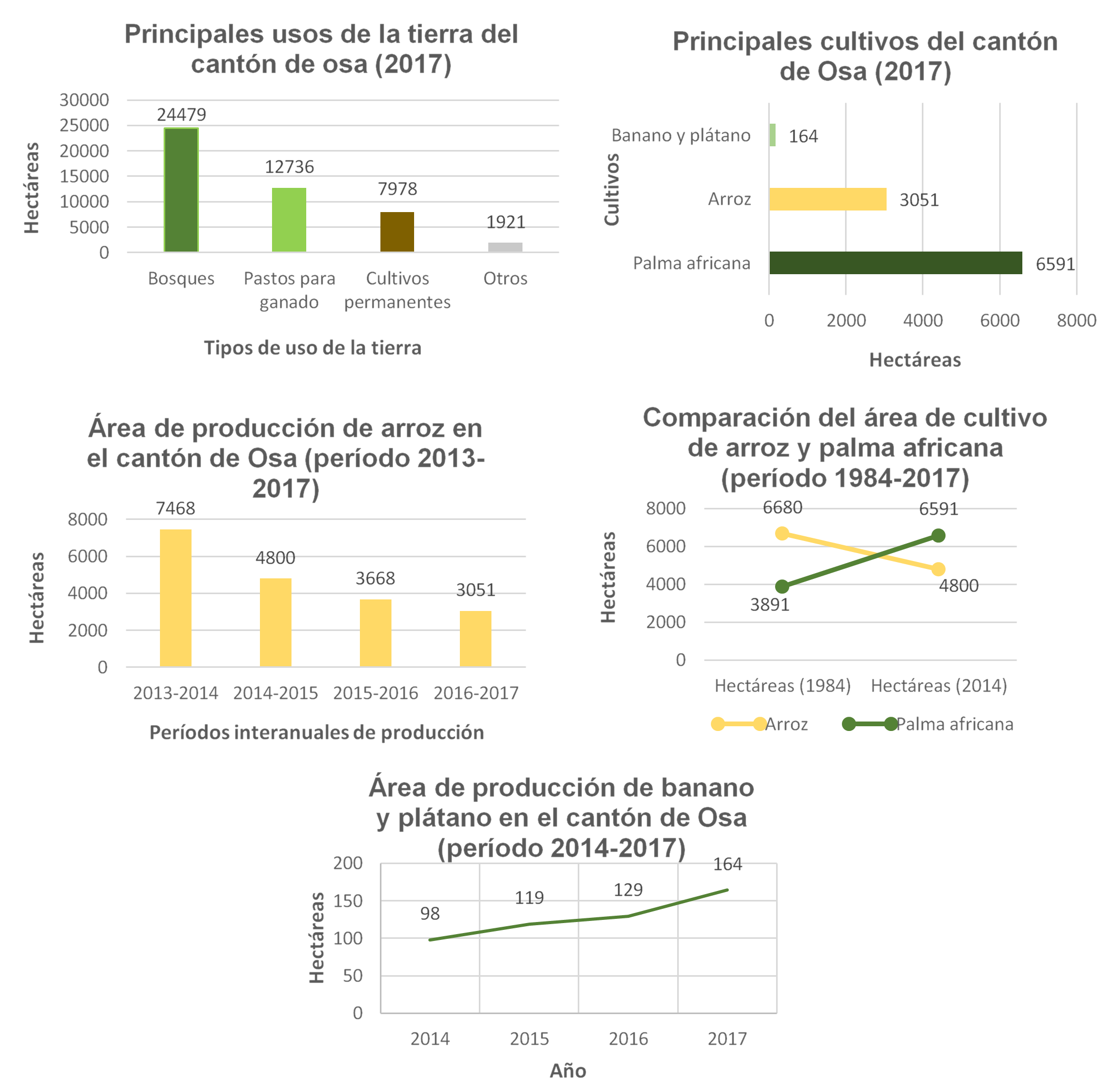 Conjunto de gráficos. Descripción de la estructura de producción de alimentos del cantón de Osa (1984-2017).