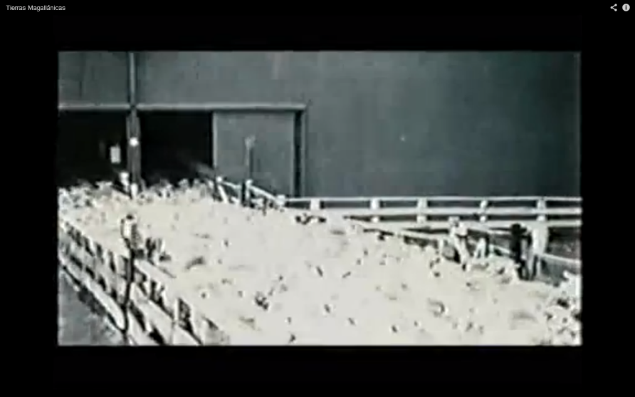 Secuencia de imgenes del film.