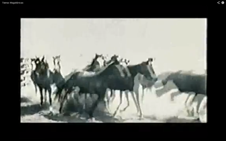 Secuencia de imgenes del film.