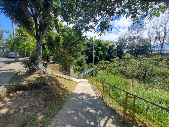 Fotograf�a del puente entre Guarar� y Los Lagos