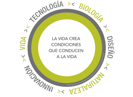 Conceptos de la biom�mesis