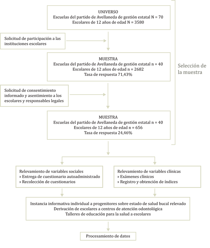 Proceso de conformaci&oacute;n de la muestra y de la obtenci&oacute;n de datos