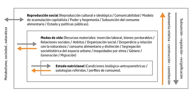 Dimensiones de la determinación del consumo alimentario y el perfil epidemiológico nutricional.