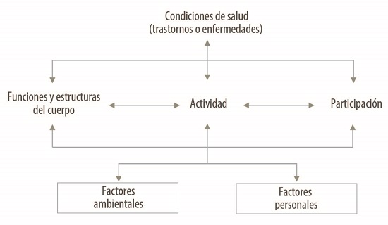 Interacciones entre los componentes de la Clasificación Internacional del Funcionamiento, de la Discapacidad y de la Salud