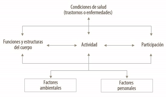 La fisioterapia en los sistemas de salud: marco teórico y fundamentos para  una práctica integral