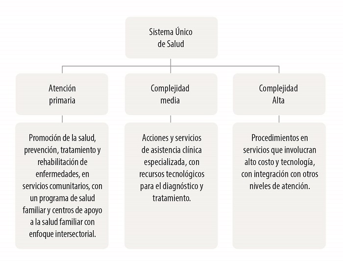 Flujo de niveles crecientes de complejidad en el Sistema &Uacute;nico de Salud (SUS).