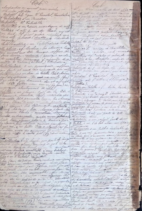 Verbetes manuscritos no Nouveau dictionnaire Portugais-Fran�ais