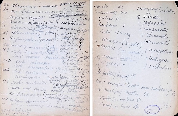 Listas de Cannizzaro manuscritas a l�pis, posteriores � carta de 28 de Outubro de 1899 (ff. 53v; 74r)