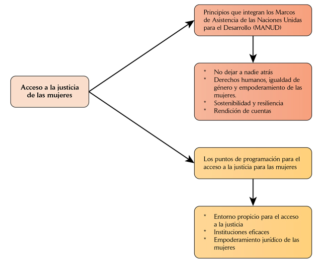 Esquema de los principios y puntos de entrada para la programación del acceso a la justicia para las mujeres