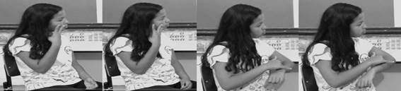 GATO + GORDO (Persa).