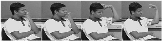 CO + ORELHA (Pastor-alemo).