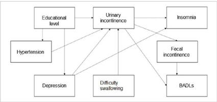 Theoretical model of factors associated with urinary incontinence in
                            older adults residing in nursing homes.