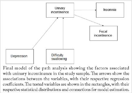 Pathway analysis of the associated factors with urinary incontinence
                            older adults residing in nursing homes.