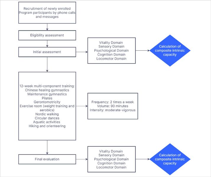 Study stage flowchart.