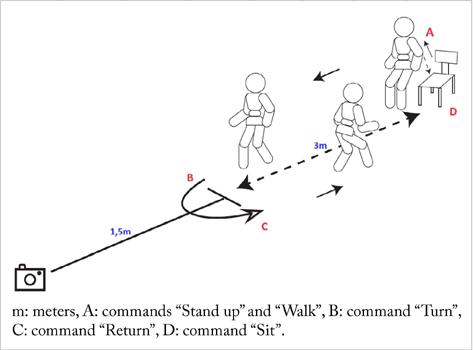 Positioning of camera and participant while executing the functional
                            mobility tests.