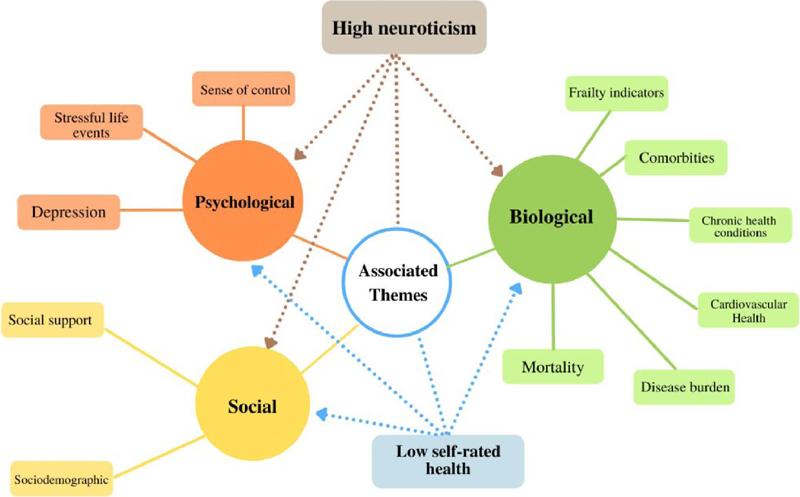 Framework with biopsychosocial factors.