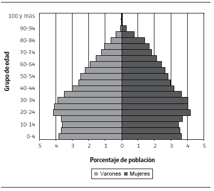 Pirámide
de población de la zona sur. Comunas 4, 8 y 9. Ciudad de Buenos Aires. Año 2010