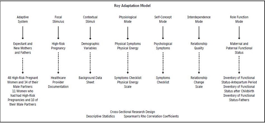 Conceptual-Theoretical-Empirical Structure for a Pilot Study of Correlates of Maternal and Paternal Functional Status during High-Risk Pregnancy and the Post-Partum.