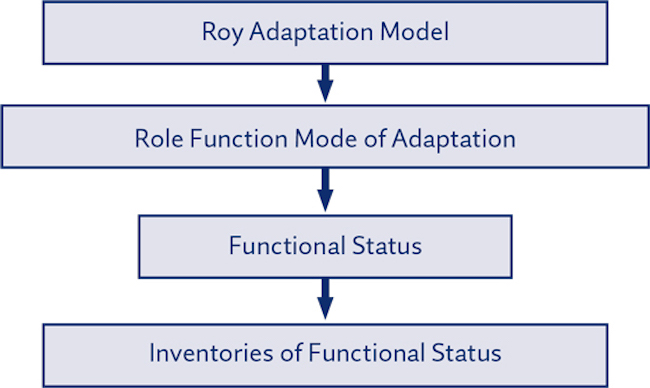 Linkage of an empirical indicator with the theory concept derived from a conceptual model concept