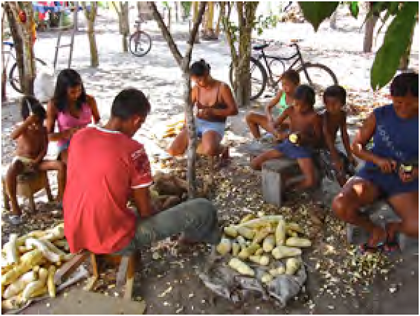 Adultos e crian&ccedil;as descascando mandioca