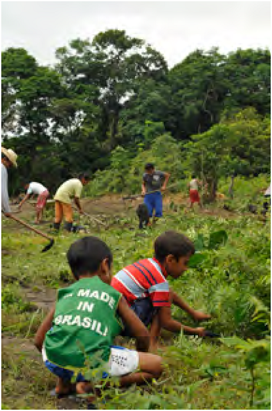 Num puxirum, crian&ccedil;as tirando ervas daninhas