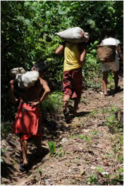 Av&oacute; e dois netos voltando da ro&ccedil;a