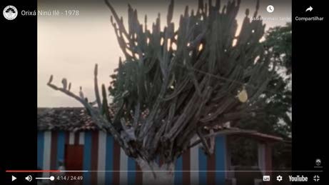 
							 Il de Obaluai, morada de Nan e seus filhos
						