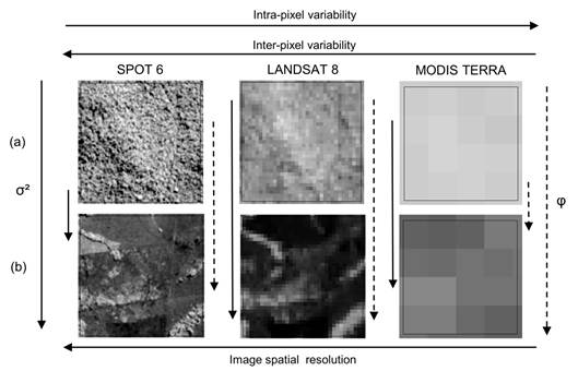 Effect of image resolution on sill (σ&sup2;) and range (φ) parameters for the characterization of landscape spatial heterogeneity: (a) Forest areas and (b) Human modified areas.