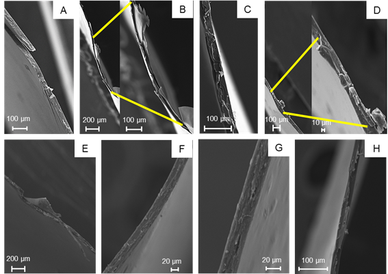 Micrographs of scanning electron microscopy (SEM) of the film fracture surfaces: A) A =cassava starch; B) B1:1 = blend 1 hypromellose:1 cassava starch; C) B9:1 = blend 9 hypromellose:1 cassava starch; D) H = hypromellose; and E) B1:9 = blend 1 hypromellose:9 cassava starch and reinforced with cellulose nanocrystals in the proportions: F) B9:1-1% = blend 9 hypromellose:1 cassava starch + 1% cellulose nanocrystals; G) B9:1-3% = blend 9 hypromellose:1 cassava starch + 3% cellulose nanocrystals; and H) B9:1-10% = blend 9 hypromellose:1 cassava starch + 10% cellulose nanocrystals.