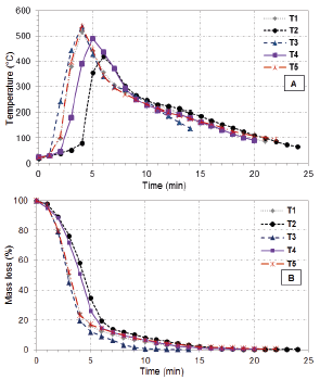 Variation of temperature (A) and mass consumption (B) during the combustion test.