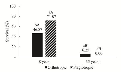 Position tree planting in the Cartesian plane trees in 1875 (Left,) and position of the sample with 200 trees (Right).