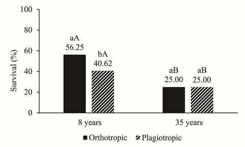 Survival of A. angustifolia grafts as a function of growth habit and age of rootstock at 16 months after grafting performed in spring/2015. Means with the same lowercase letter within the age group or same upper case letter between ages do not differ according to the Tukey test (P<0.05).