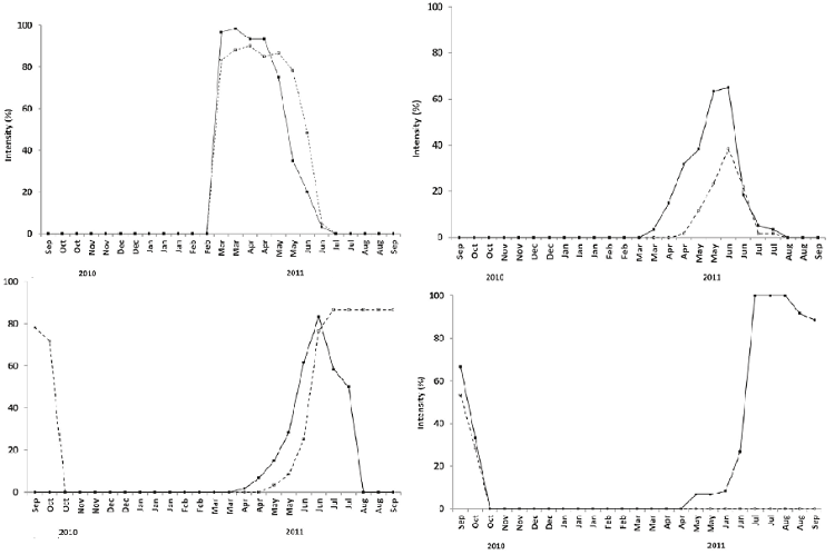 Intensities of the flowering phenology of male subjects (―•―) and females (---◦--) of Baccharis platypoda located in three areas of rupestrian grassland, Diamantina, Minas Gerais. The method of intensity Fournier, for abscission of floral buds (a), immature flowers (b), mature flowers (c) and completed flowering (d) was employed. The observation period of phenology was September/2010 to September/2011.