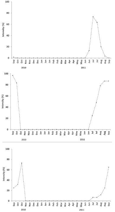 Intensities of fruiting phenophases of female individuals Baccharis platypoda located in three areas of rupestrian grassland, Diamantina, Minas Gerais. The method of intensity Fournier, for abscission of immature (a) fruits , ripe fruit (b), fruit dispersion (c) was employed. The observation period of phenology was September/2010 to September/2011.