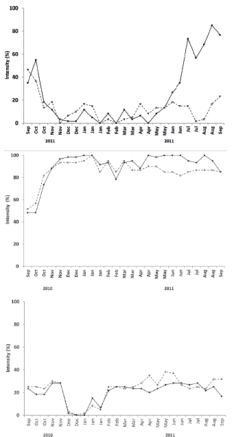 Intensities of the vegetative phenology of female individuals (---◦--) Baccharis platypoda located in three areas of rupestrian grassland, Diamantina, Minas Gerais. The method of intensity Fournier for phenophases budding (a), mature leaves (b) and leaf fall (c) was employed. The observation period of phenology was September/2010 to September/2011.