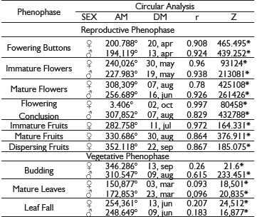 Results of the circular analysis for the level of phenology seasonality of female (♀) and male individuals (♂) of Baccharis platypoda, located at the margin of the Córrego Soberbo, Diamantina, Minas Gerais and sampled in the period of September/2010 to September/2011. The analysis determined the average angle (MA) and the average date ( DM ) of occurrence of phenological events where: r: coefficient of concentration, Z: Rayleigh test with p ≤ 0,05.
