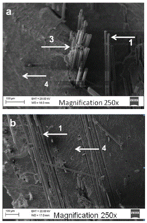 SEM micrographs of the fracture surface of the composites reinforced with fi berglass. (a) 250x magnifi cation (GL); (b) 500x magnifi cation (GL). Arrows indicate: (1) fi berglass, (2) presence of air bubbles, (3) surface left by the pull-out of the fi ber (4) resin.