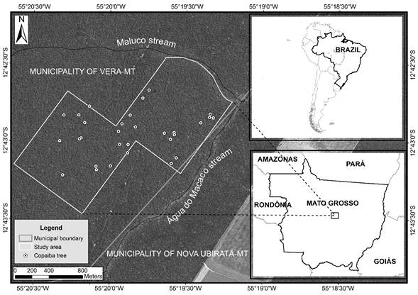 Localization of the study area in the Cerrado- Amazonia ecotone in the central north region of Mato Grosso State, Brazil.