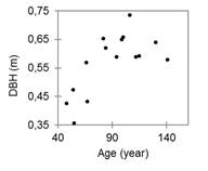 Scatterplot for diameter at breast height (DBH) and age of Copaifera trees in the Cerrado-Amazonia ecotone in the central north region of Mato Grosso State, Brazil.